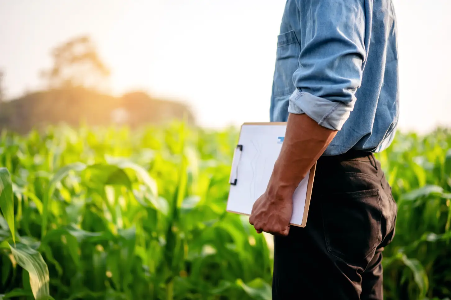 Como trabajamos. Agrolegal