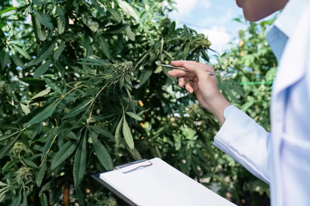 Conocimiento jurídico protección variedades vegetales