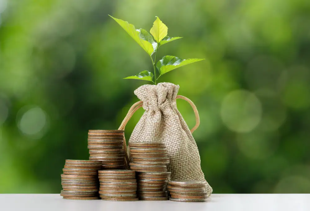Inversión en rentabilizar variedad vegetal